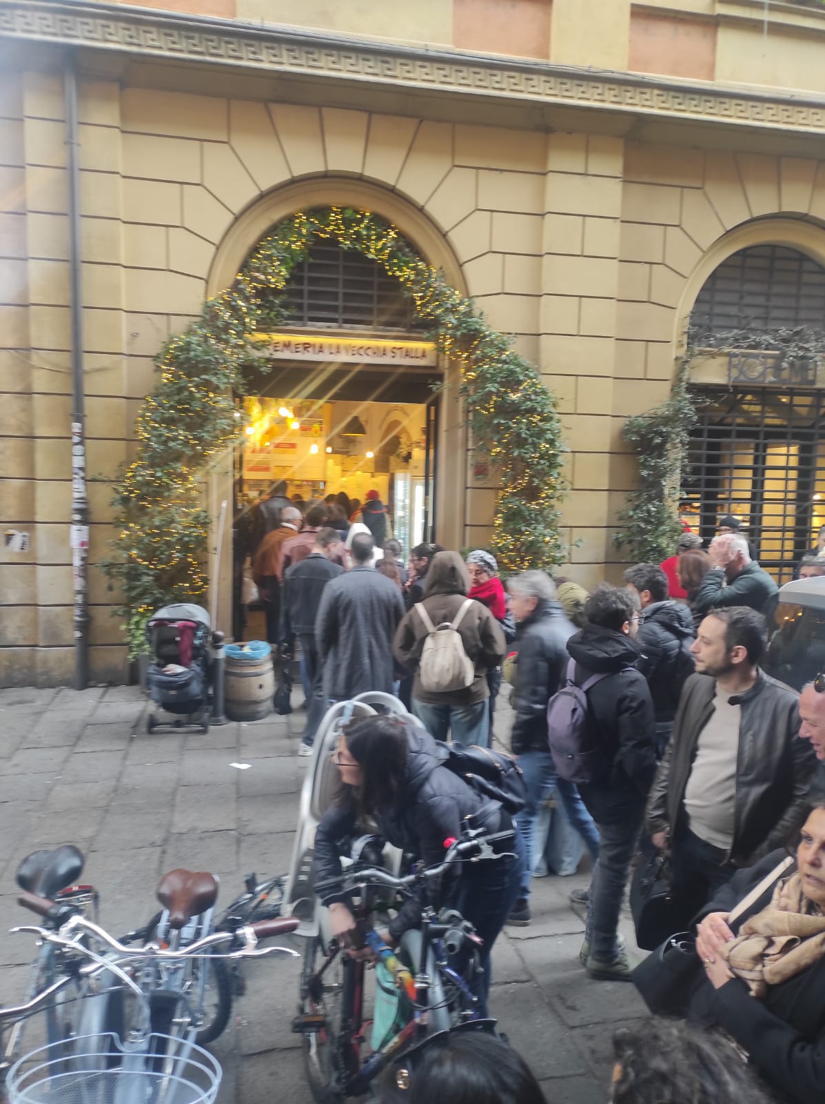 WhatsApp Image 2026-03-23 at 16.18.51.